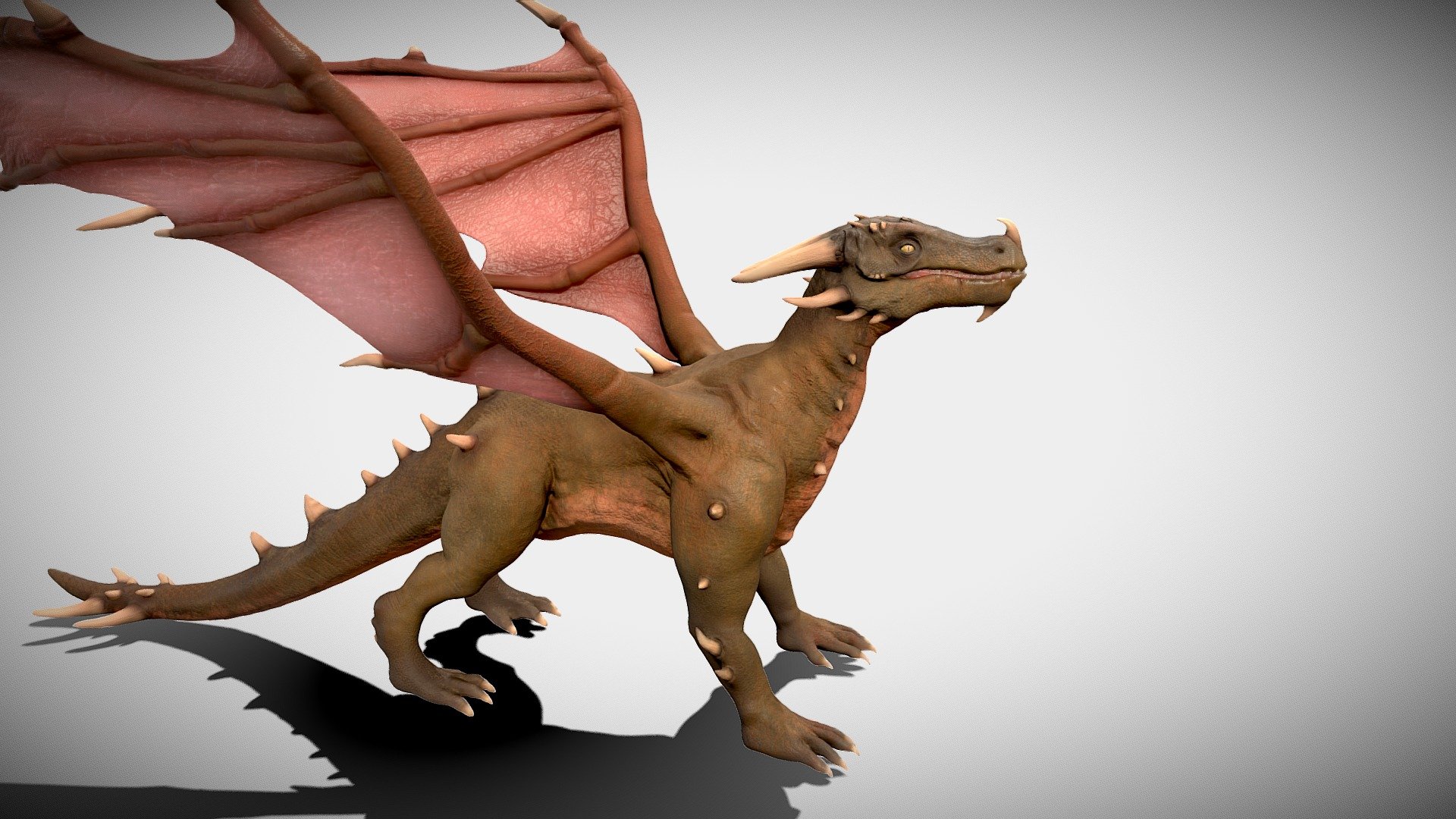 Dragon 3d model