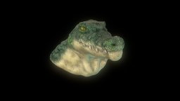 Humanoid Crocodile Head