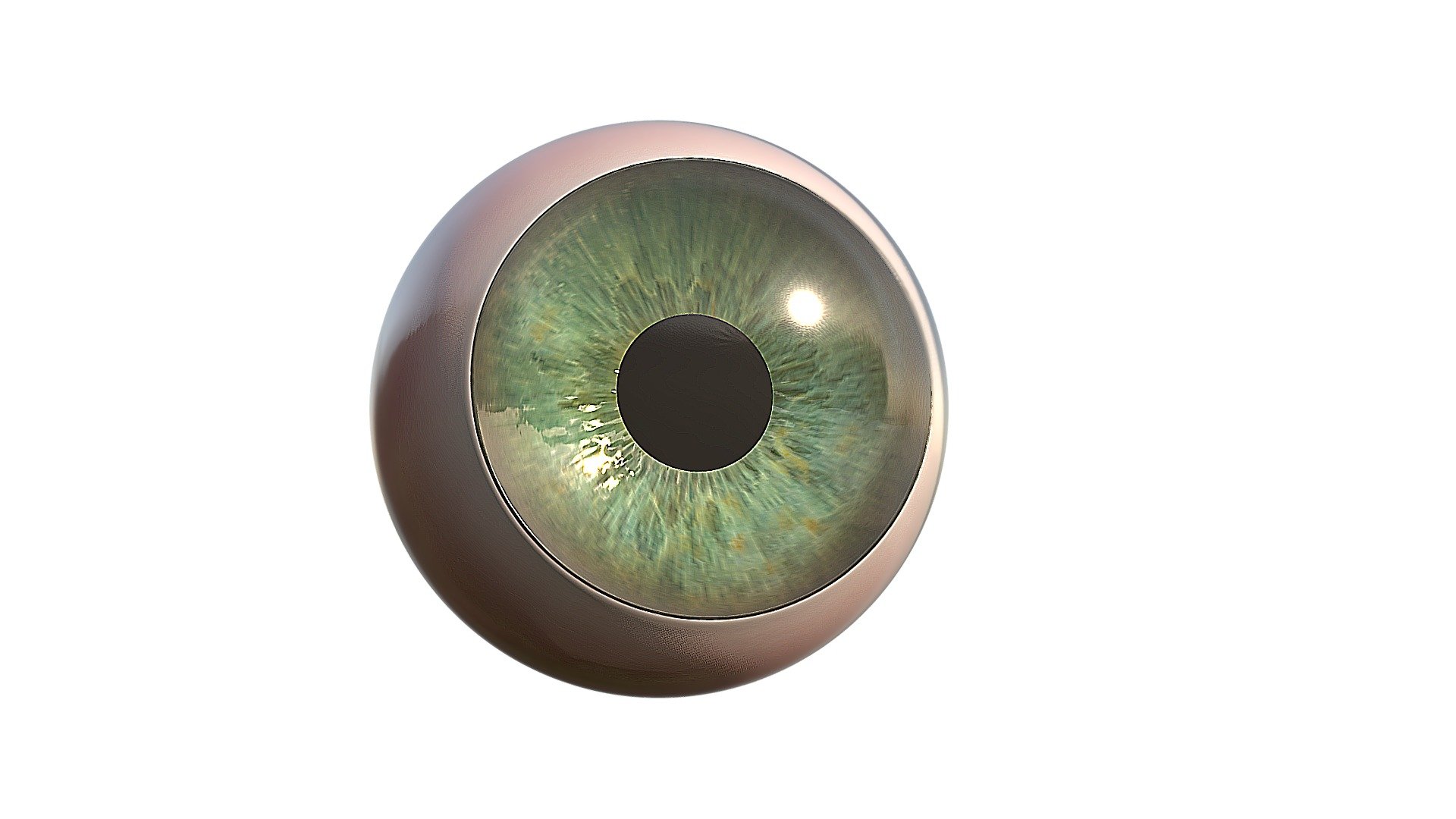 Cartoon eye 3d model