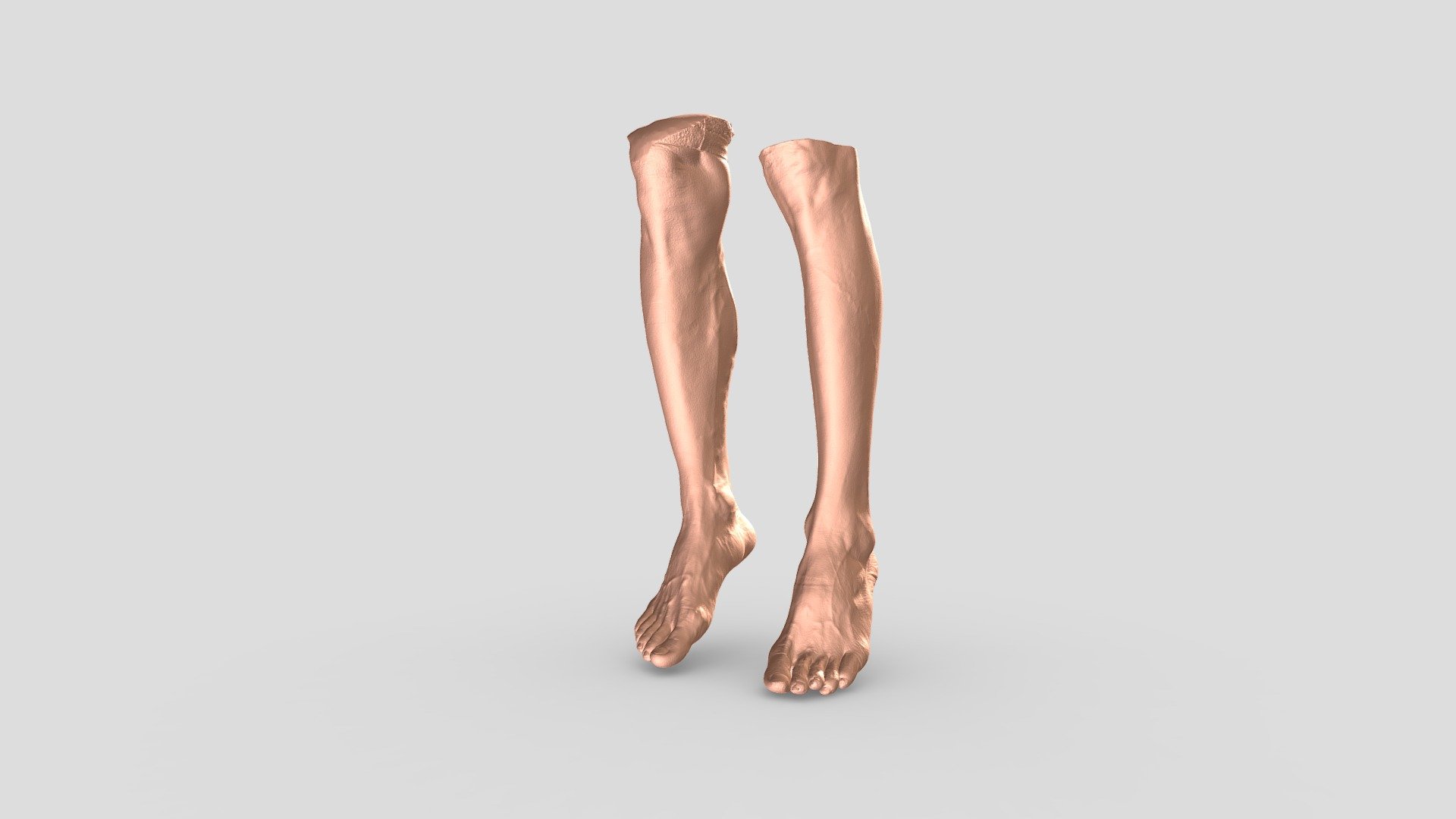 Leg 3d model