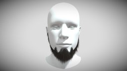 Metalhead Beard