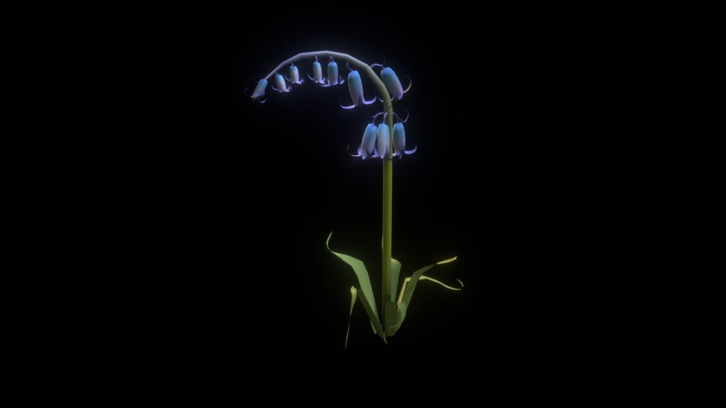 Bluebell 3d model