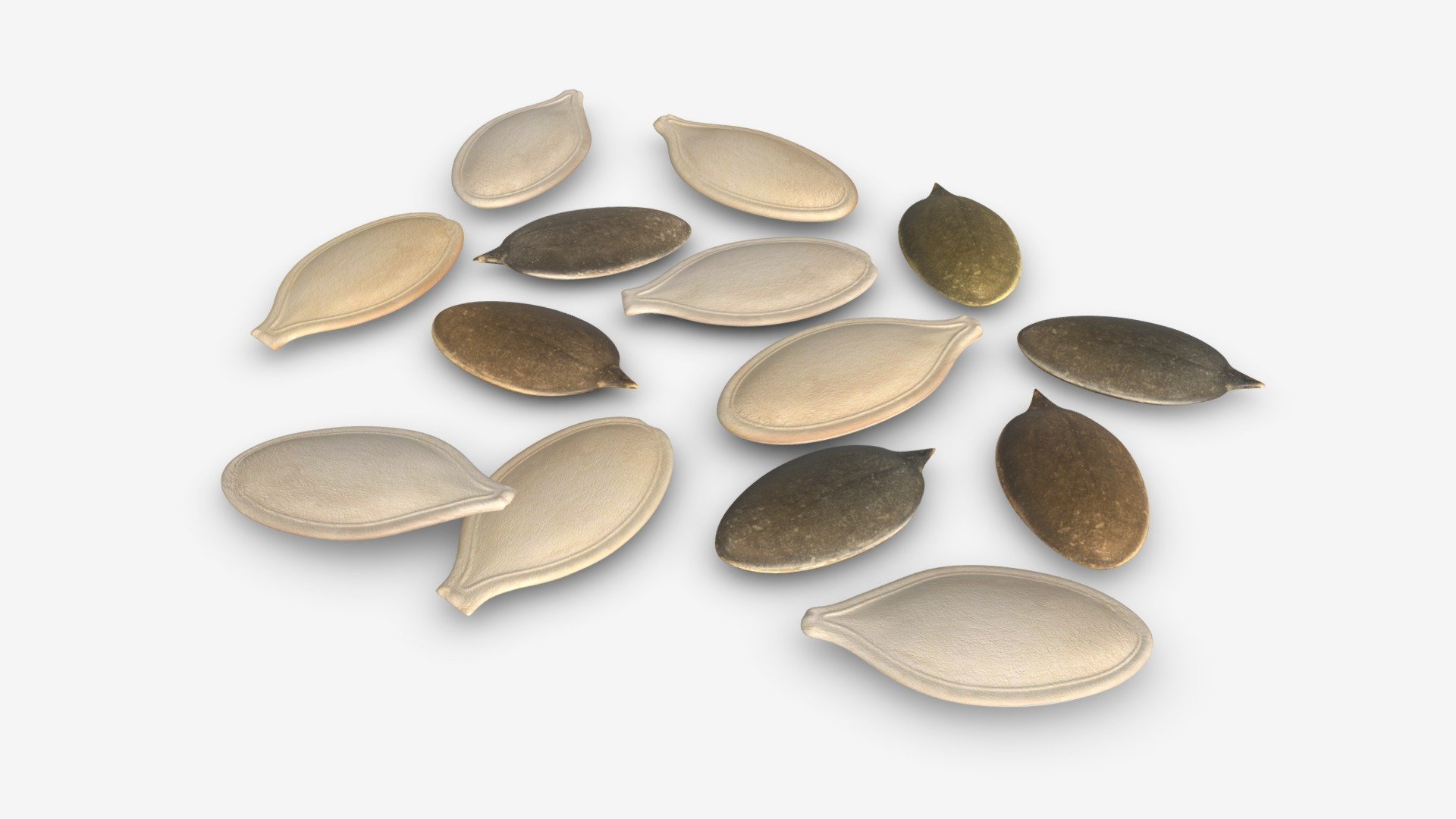 Pumpkin seeds 3d model