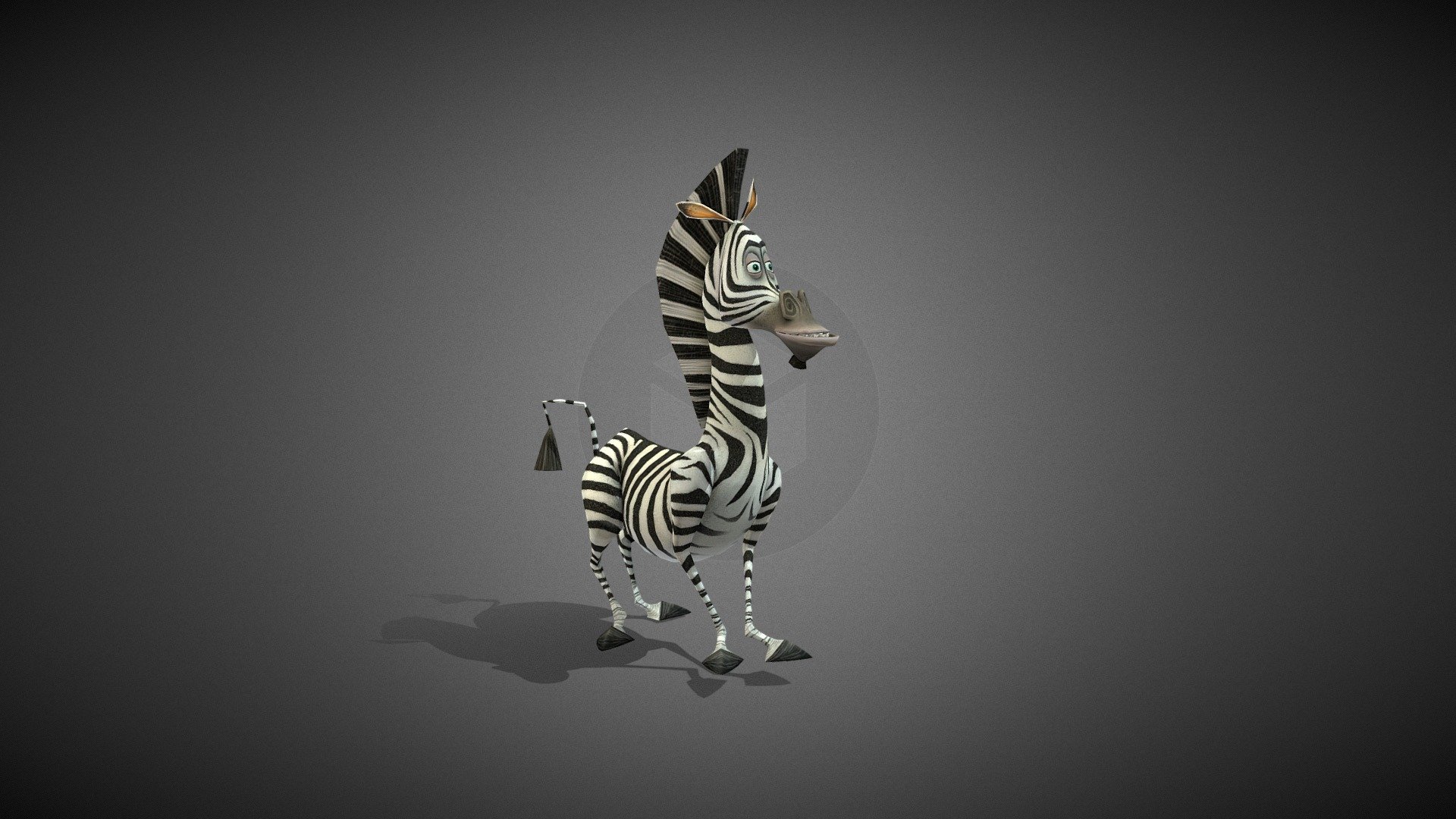 Zebra 3d model