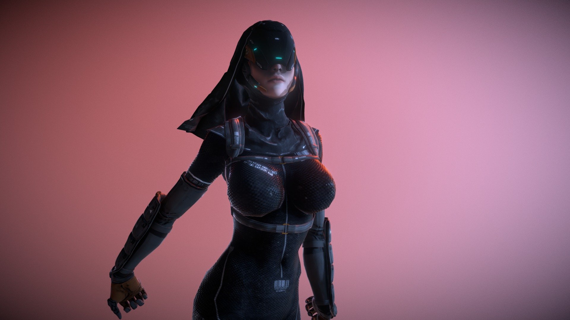 NinjaSister 3d model