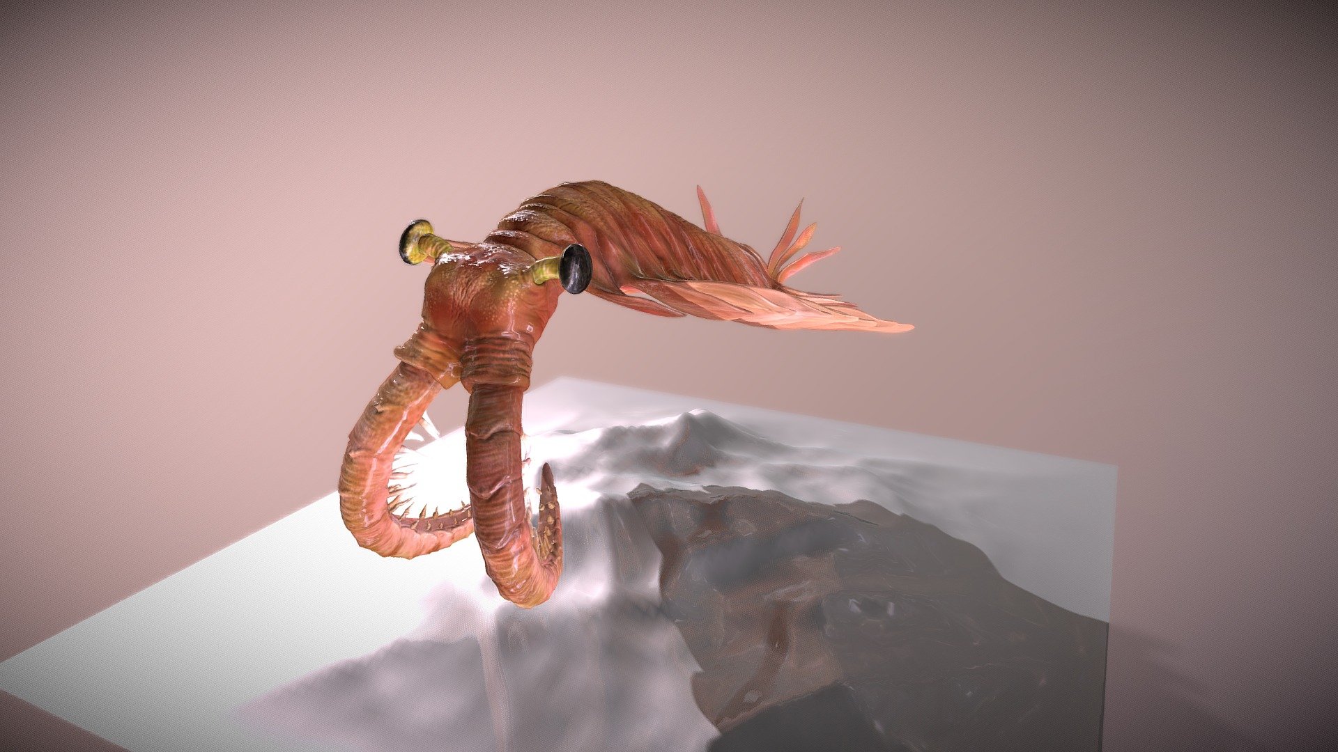 Animated anomolocaris 3d model