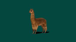 Alpaca (Lowpoly)