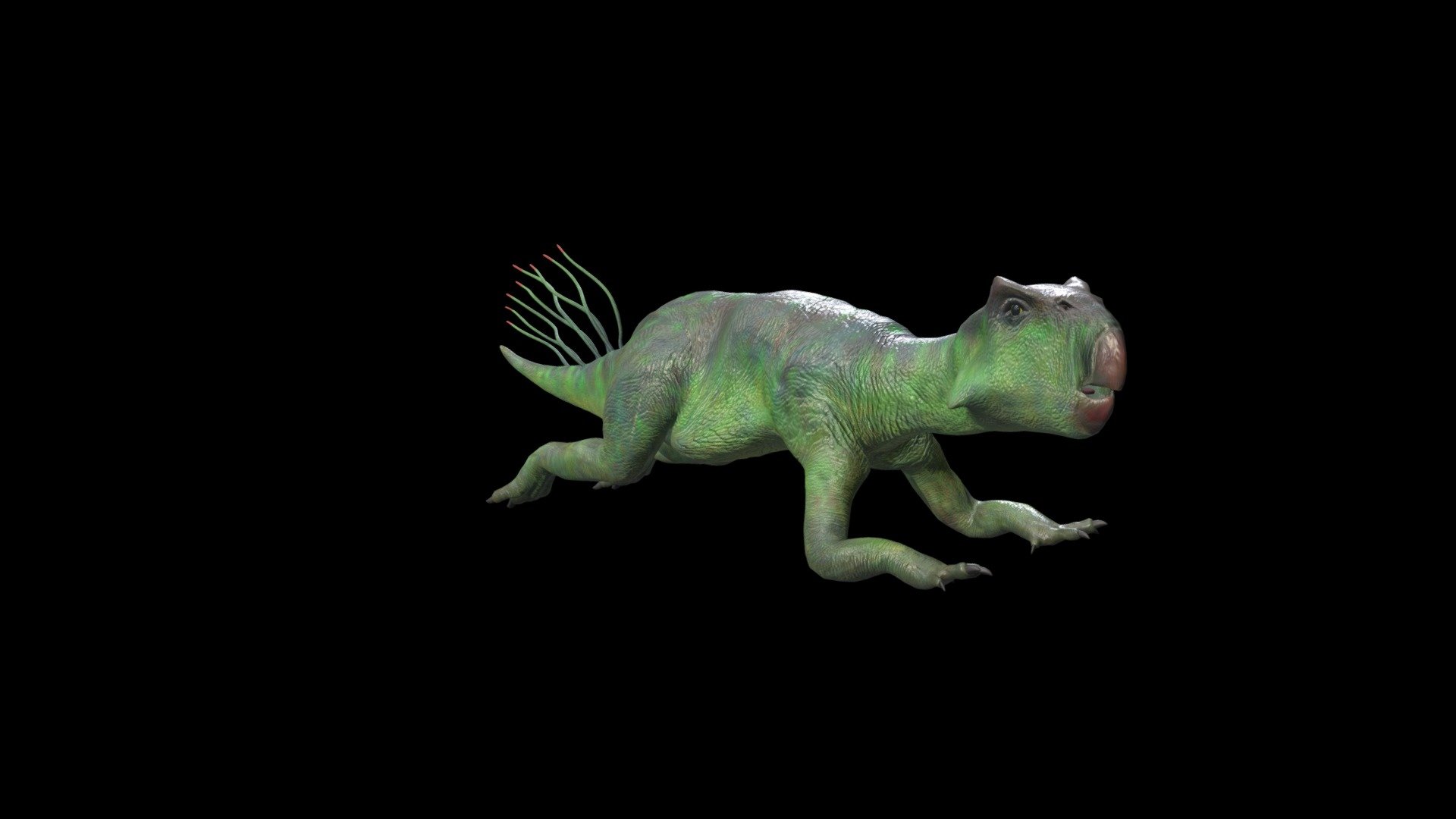 Psittacosaurus 嬰鵡嘴龍 3d model