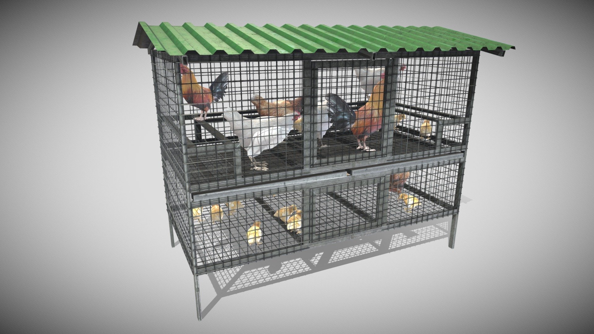 Chickens Cage 3d model