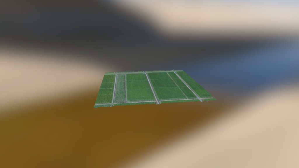 Paddy field 3Dmodel (summer) 3d model