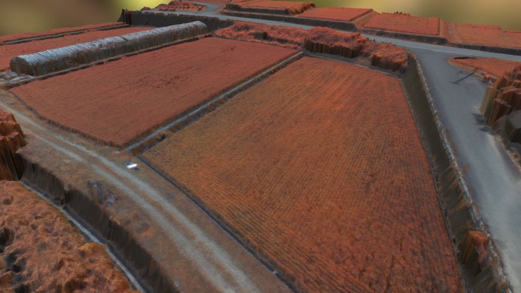 Paddy Rice Field in Kumakougen, Japan (NDVI7) 3d model