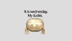 Wednesday Frog