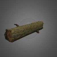 Log