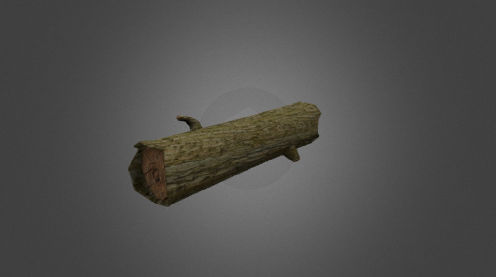 Log 3d model