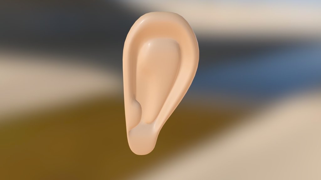 Oreja 3d model