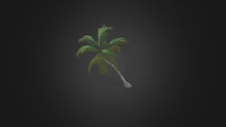 Sloping Palm Tree