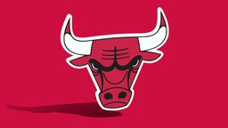 Chicago Bulls