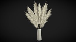 Pampas Grass II