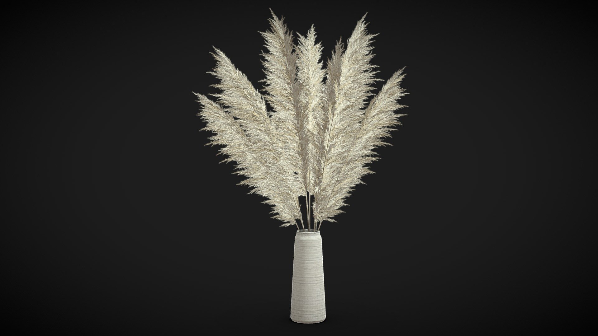 Pampas Grass II 3d model