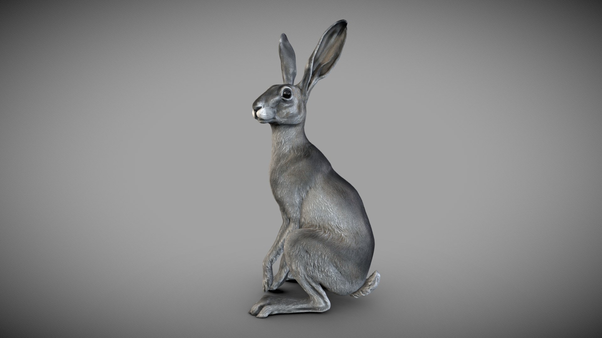 Hare | 3D Sculpting 3d model