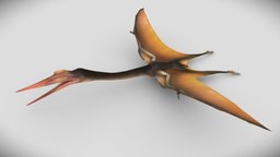 Quetzalcoatlus