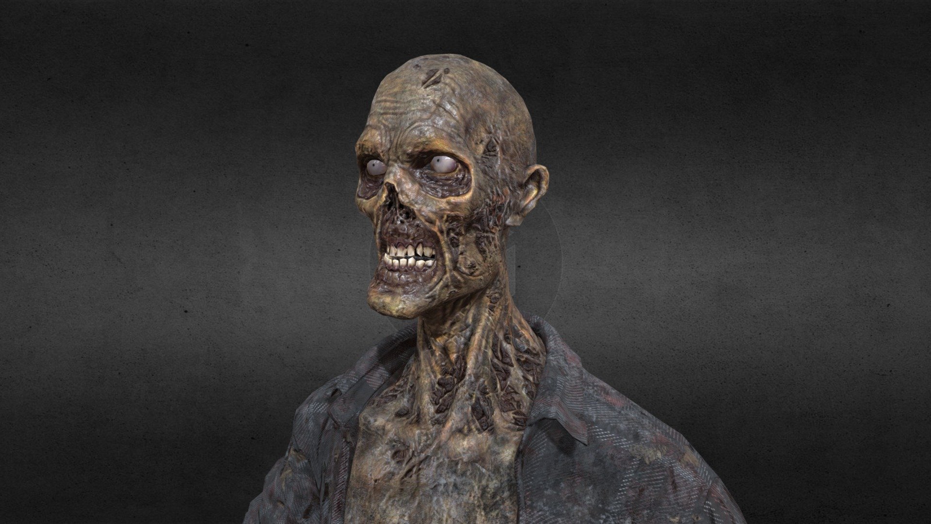 Decayed Zombie D 3d model