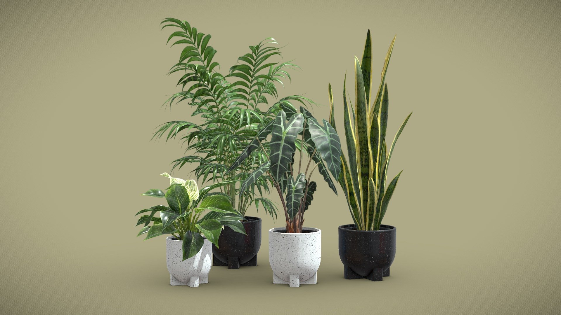 Indoor Plants Pack 55 3d model