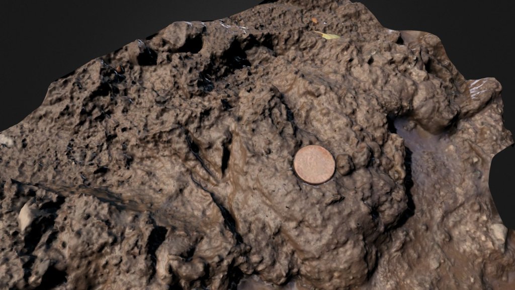 Bird Track soft mud 3d model