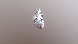 Heart Test3