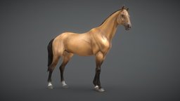 Horse | 3D Sculpting