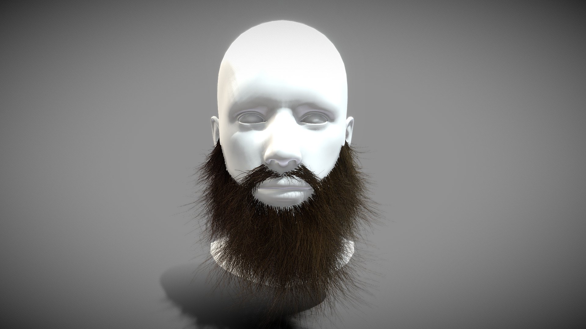 Big Long Beard 3d model