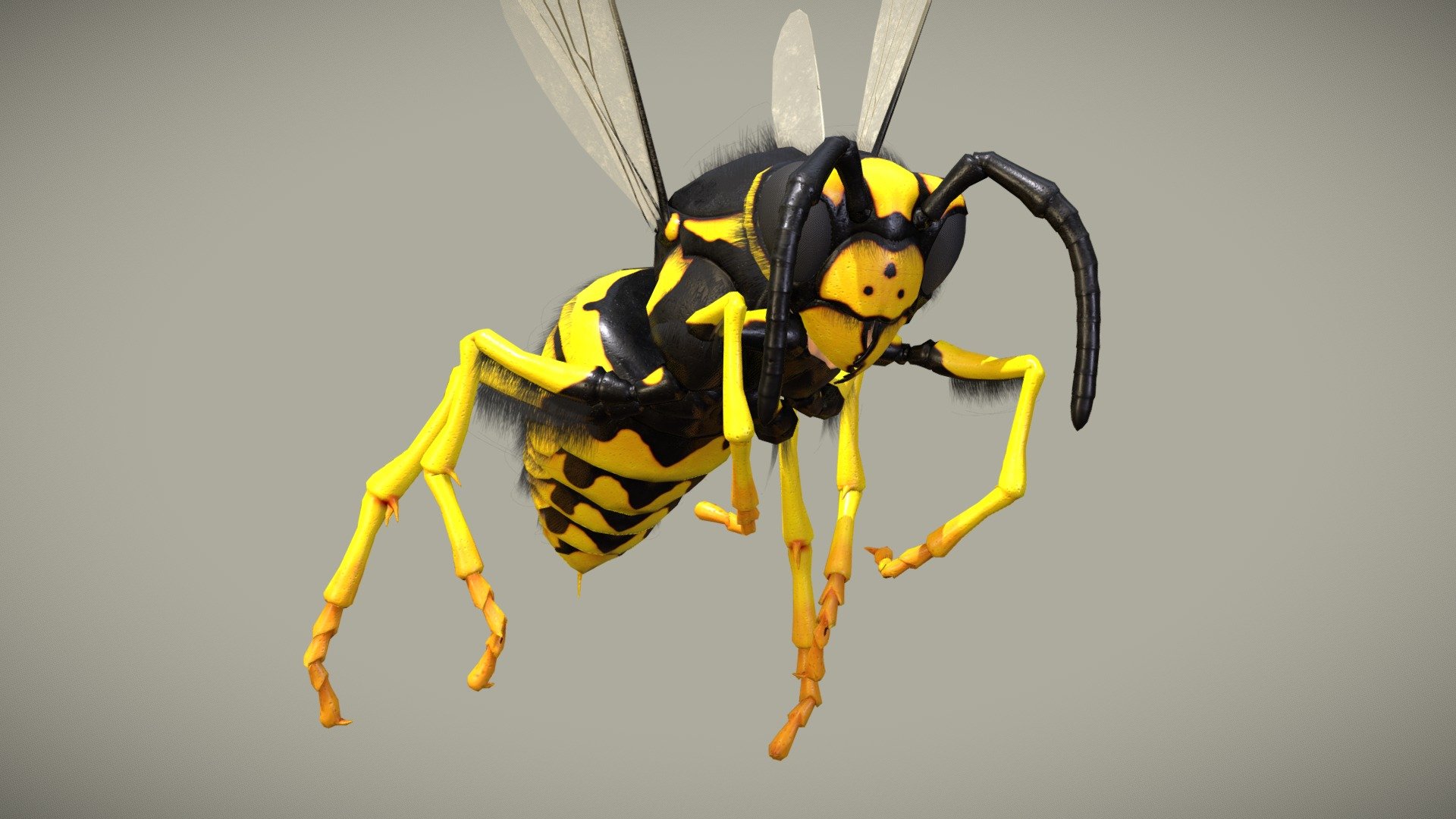 Wasp 3d model