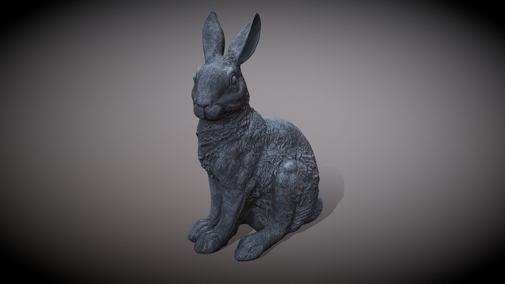 HASE 3d model