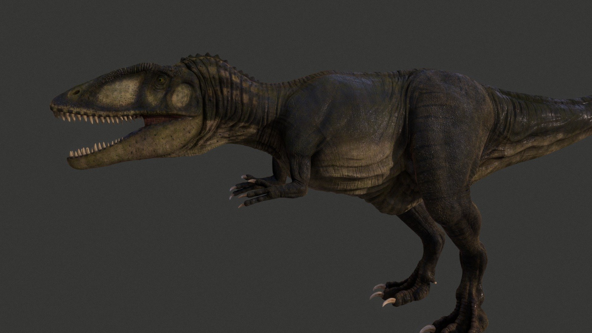 Carcharodontosaurus 3d model