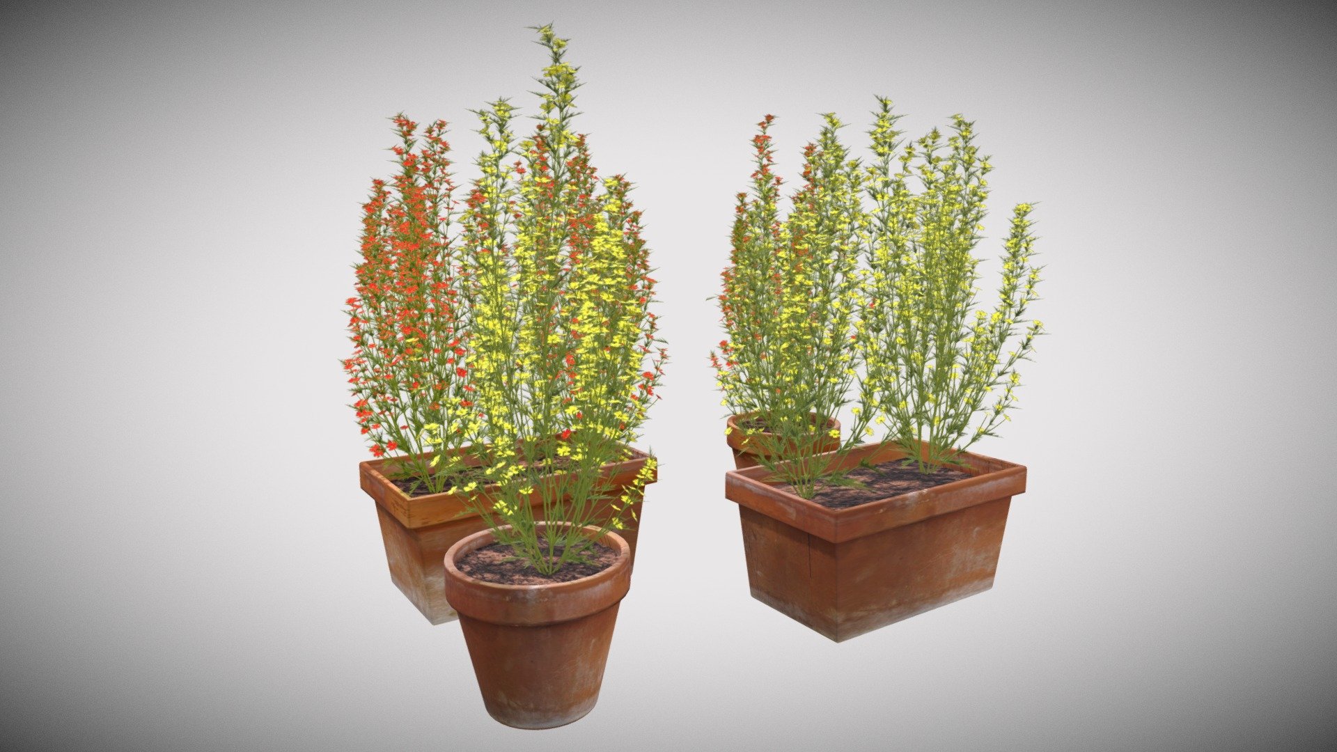 Flower Pots 3d model