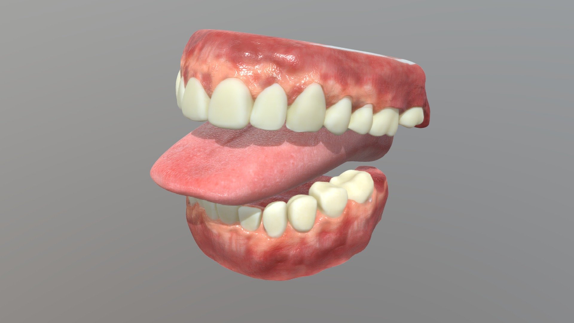 Denture and  interior of the mouth 3d model