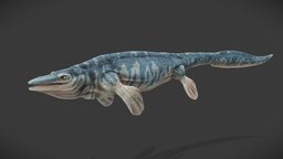 Mosasaurus Hoffmannii