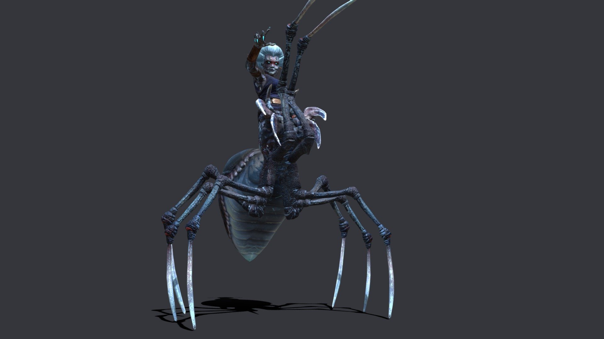 Arachne Animated 3d model