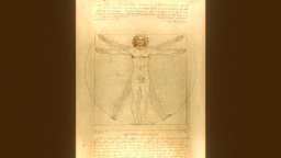 Vitruvian Man 3D