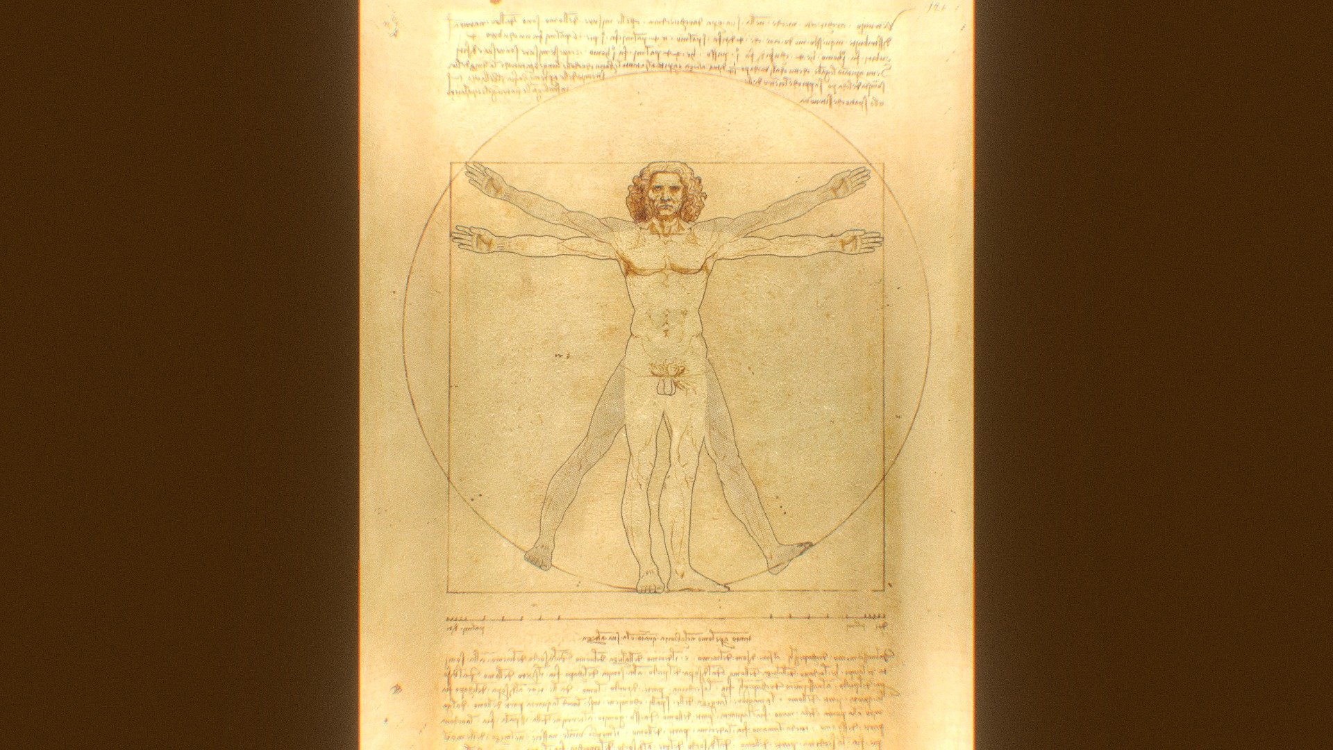 Vitruvian Man 3D 3d model