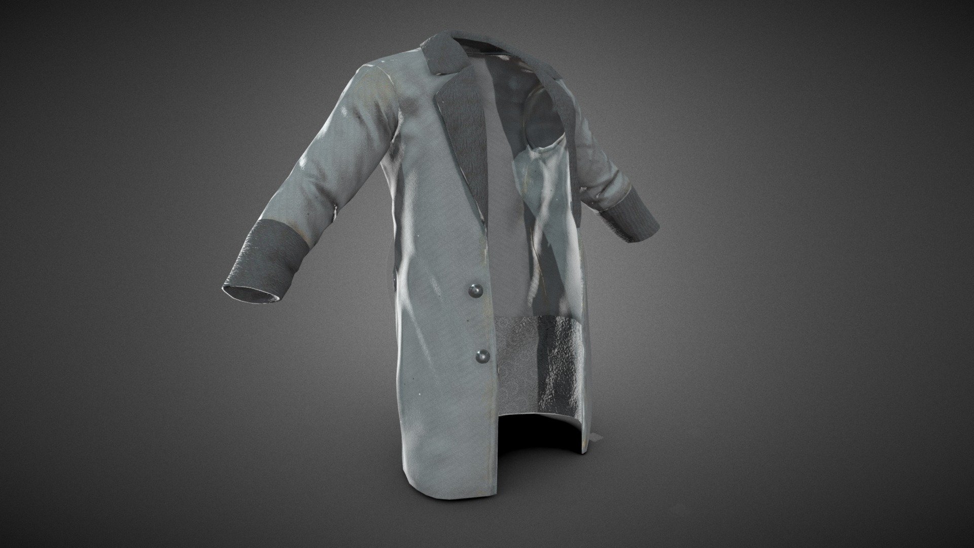 Gray Coat 3d model