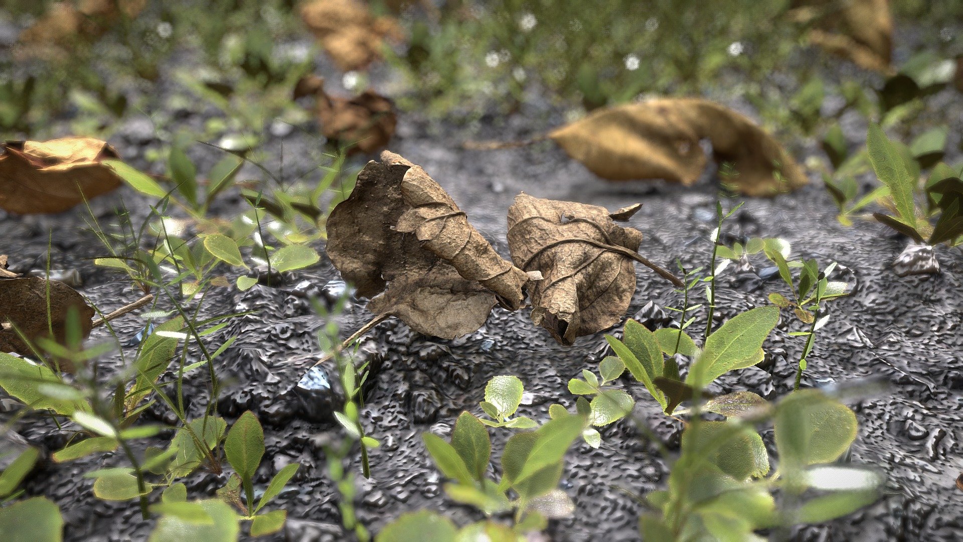 Leaves in the garden 3d model