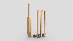 Wooden Cricket Set