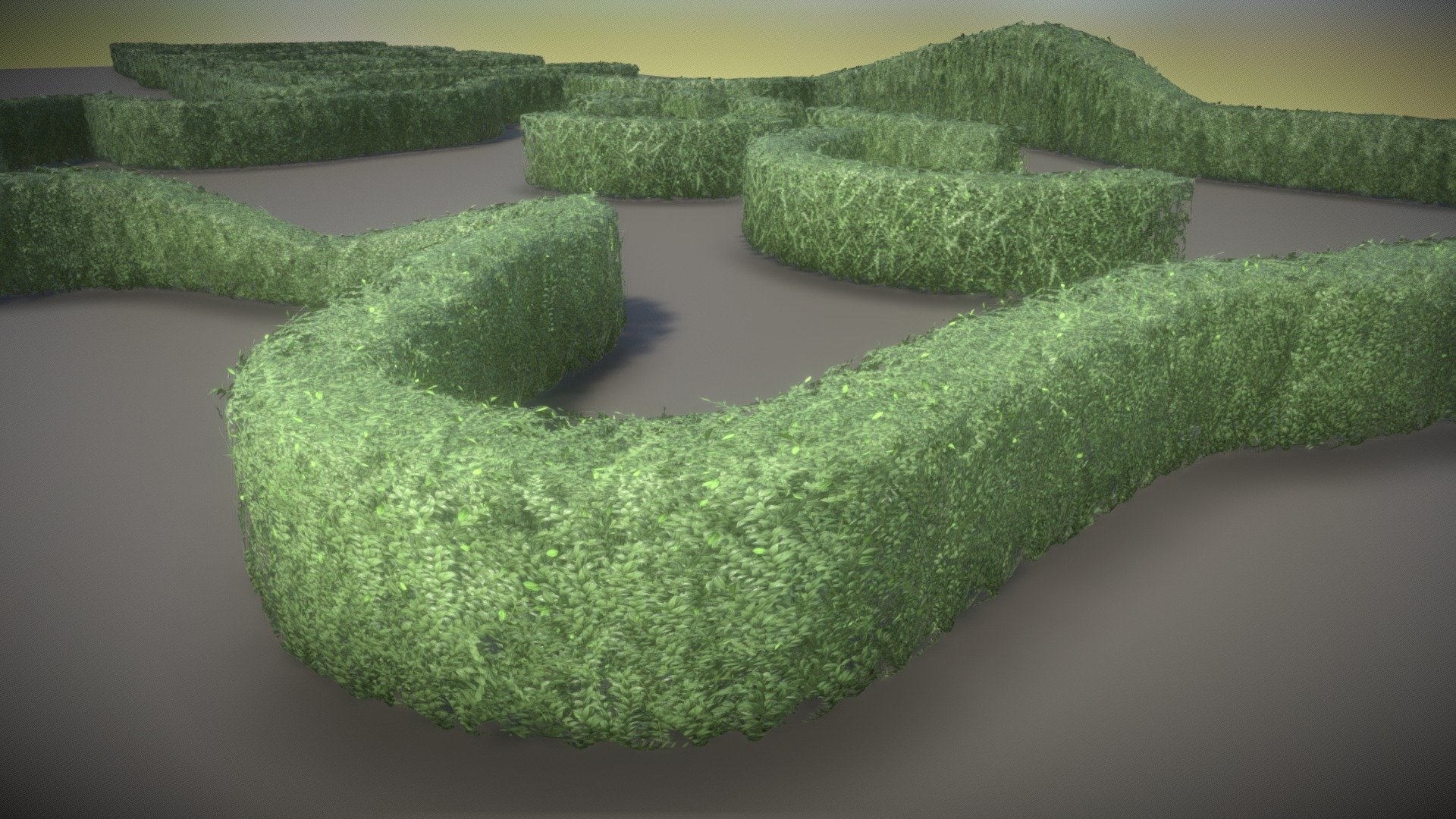 Boxwood Hedge Set Version 1 3d model