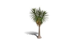 Realistic HD Spineless yucca (7/30)