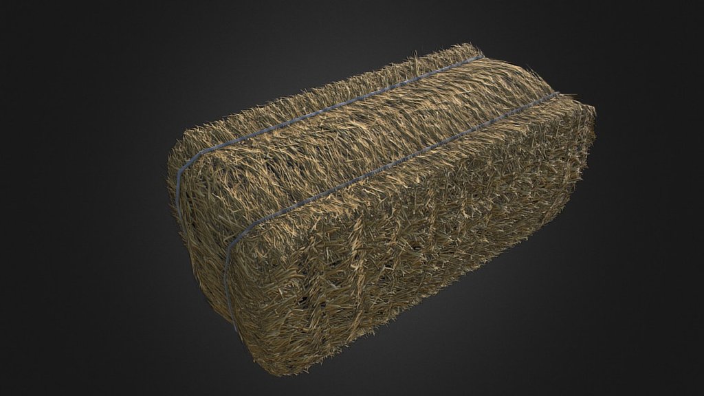 Haysquare 3d model