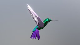 Work in progress Hummingbird