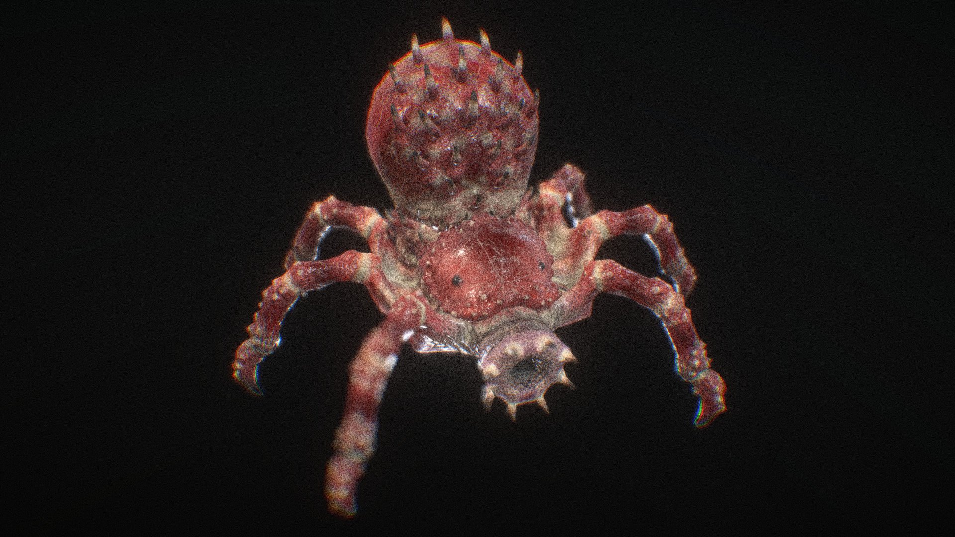 Arachnirock, the Rock Shooting Spider Thing 3d model