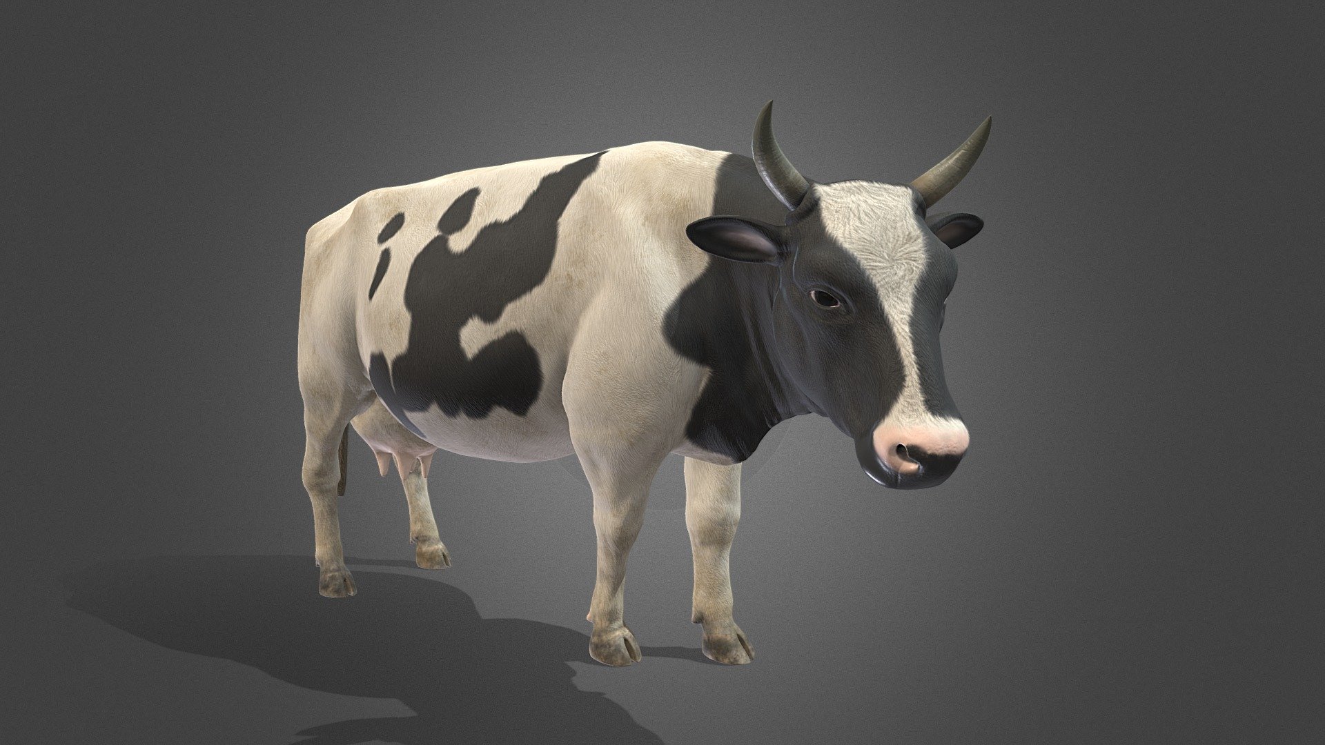 HQ cow 3d model