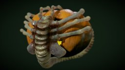 Facehugger pumpkin